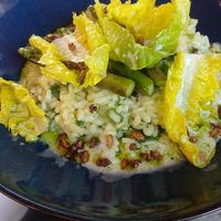 Basilikum Risotto mit grünem Spargel at Zum Scheele in Stralsund