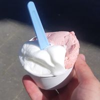 Lemon and strawberry at Borgo Gelato in Antwerpen