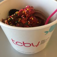 chocolate almond vegan ice cream  at TCBY in Victor