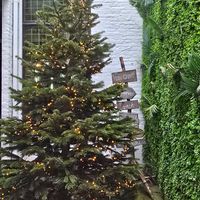 Outdoor area at the back at Vero Caffe in Bruges