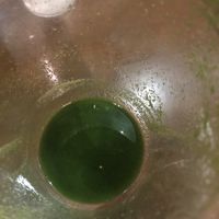 Diabetes juice   at Veggie Castle in Jamaica