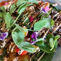  at The Organic Boho in Copenhagen