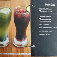 Menu at Nadis Go Vegan in Torreon