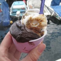 Chocolate and cream and fig (vegan gelato) at La Passerella Srl in Varenna