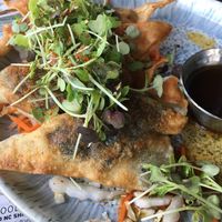 dumplings at Juju in Durham