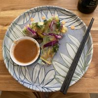 Veggie rolls! at Pezetarian in Cartagena