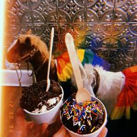 Chocolate sorbet and sprinkles  at Hedonist Artisan Ice Cream in Rochester