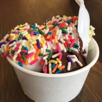 Coconut and chocolate sorbet  at Hedonist Artisan Ice Cream in Rochester