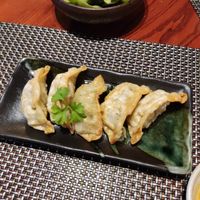 Gyozas at Itadakizen in Shrewsbury