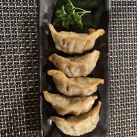 Gyoza  at Itadakizen in Shrewsbury