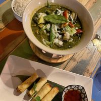 Vegan green curry and springrolls  at Thai Corner in Alicante
