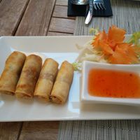 spring rolls at Thai Corner in Alicante