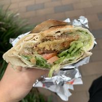 Traditional Falafel Wrap  at Beirut Falafel in Sydney