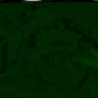 sibgapore noodle at To Be Vegetarian Blackburn in Blackburn