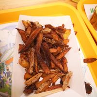 Perfect burgers but the worst fries ever! They haven't changed the frying oil for ages and the potatoes were black and had a horrible taste... at Velicious Burger in Strasbourg