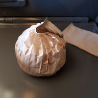 Queen Cheese burger in recycable packaging at Velicious Burger in Strasbourg