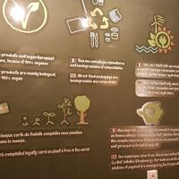 Environmental engagement at Velicious Burger in Strasbourg