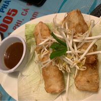 The spring rolls were yum! at Bun Bo Vietnam- Raval in Barcelona