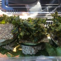 Delicious! at Rawlicious in Cedar Rapids