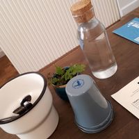 No plastic and eco waste at Yem'a Paris in Paris