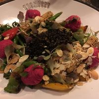 Trompete at Trompete in Riga