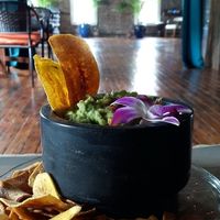  The guca with plantain chips is great! 

But,  have you tried Fika's brunch?! They cook it up on Saturdays and Sundays,  and it will blow your mind that this is vegan (but it is! ). It grew up eating  sausage and gravy,  you have got to try this vegan take - they will probably take the secret to their buttermilk gravy to the grave! And if you have a sweet tooth,  they have French toast beignets!  

Anything organic that can be sourced,  locally is used in their cooking  - which makes me,  a local,  a regular!  at Fika Vegan Cantina in Lexington