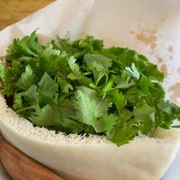 Coriander Galore at Ballon in Tokyo