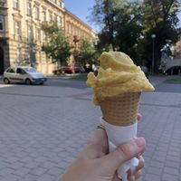   at Božský Kopeček - Moravské Náměstí in Brno