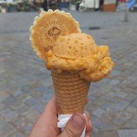 1 scoop apricot ice cream 60czk ≈ 2,40€ at Božský Kopeček - Moravské Náměstí in Brno