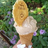 1 scoop hazelnut 60czk ≈ 2,40€ at Božský Kopeček - Moravské Náměstí in Brno