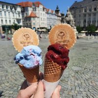 'Sky' and black currant at Božský Kopeček - Moravské Náměstí in Brno