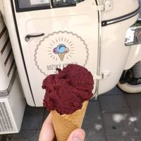 Blueberry at Božský Kopeček - Moravské Náměstí in Brno