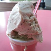 Fig + Lemon mint vegan ice creams at Leggenda - HaNassi in Haifa