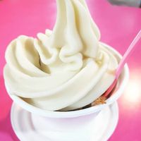 Vegan froyo with lotus cookies, coconut, and halva at Leggenda - HaNassi in Haifa