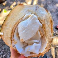 Coconut meat at Coconut Caboose in Paia