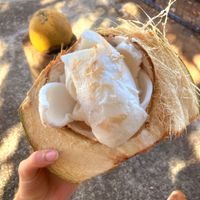 Coconut meat at Coconut Caboose in Paia