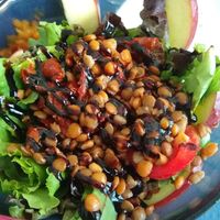 lentil salad at Empatia Rincon Vegano in Madrid
