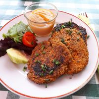 Vegane Zucchini-Möhren Puffer mit Fruchtmus. at Genusscelle in Celle