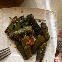 Wow at El Galil in Amirim