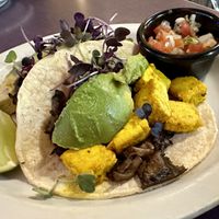 Mushroom Tofu Tacos  at The Nova Cafe in Bozeman