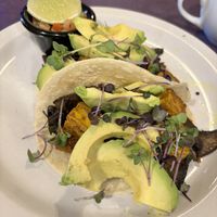 Vegan tofu tacos   at The Nova Cafe in Bozeman