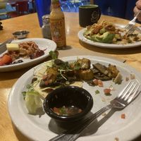   at The Nova Cafe in Bozeman