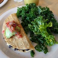 Brunch Quesadilla at From Seed to Sprout in Fair Haven