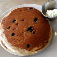 Blueberry Spelt Pancakes at From Seed to Sprout in Fair Haven