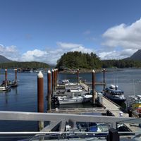 The view  at Shelter Restaurant in Tofino