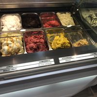 Vegan flavours all 8  at E Cosi Gelateria in Paphos