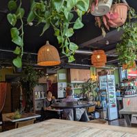  at Buddha Bowl Cafe in Newtown