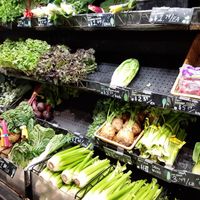 Veggies at Natural Grocers in Bountiful