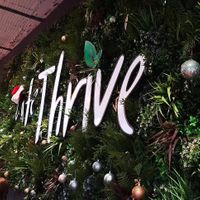 Cool wall at Cafe Thrive in Southampton