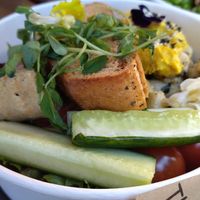 Bowl of the day at Cafe Thrive in Southampton